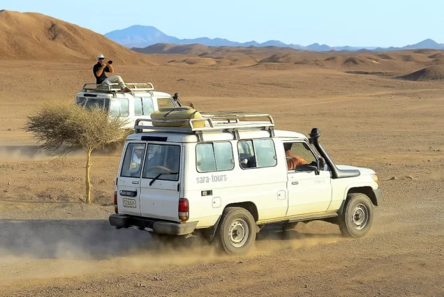 Super Safari