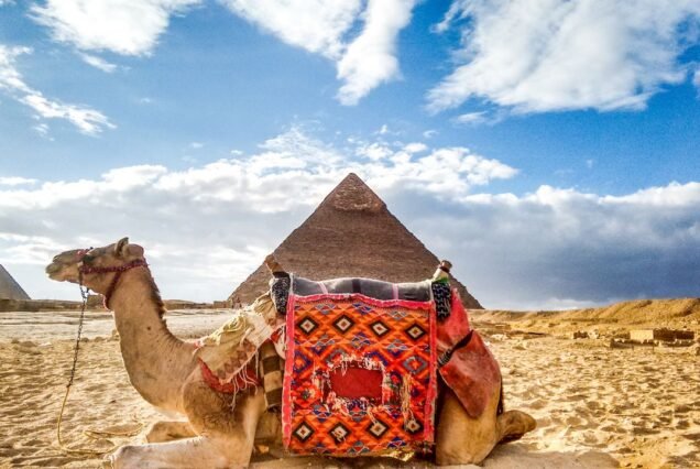 Camel Ride & Bedouin Tea in Sharm